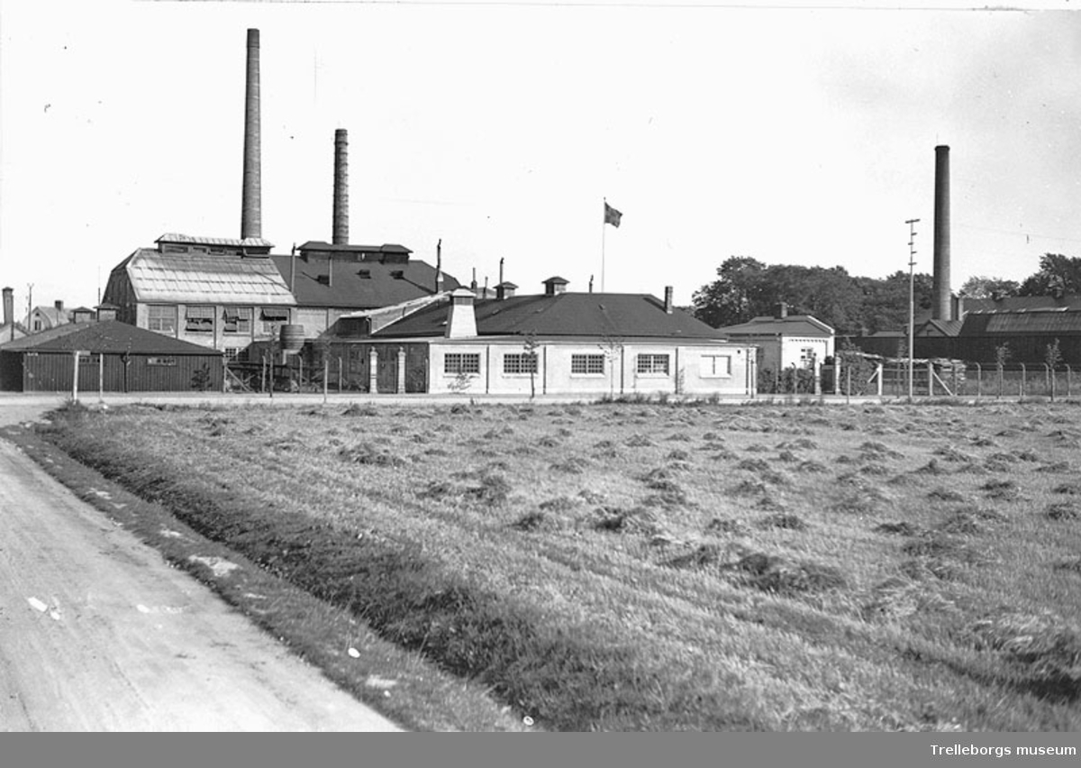 Trelleborgs Glasindustri (Glasbruk) (1919-1955)